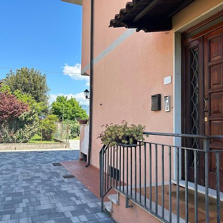 Apartmán Albi'S House,Terrazza ,Wi-Fi, Parcheggio, Ac Lucca Exteriér fotografie