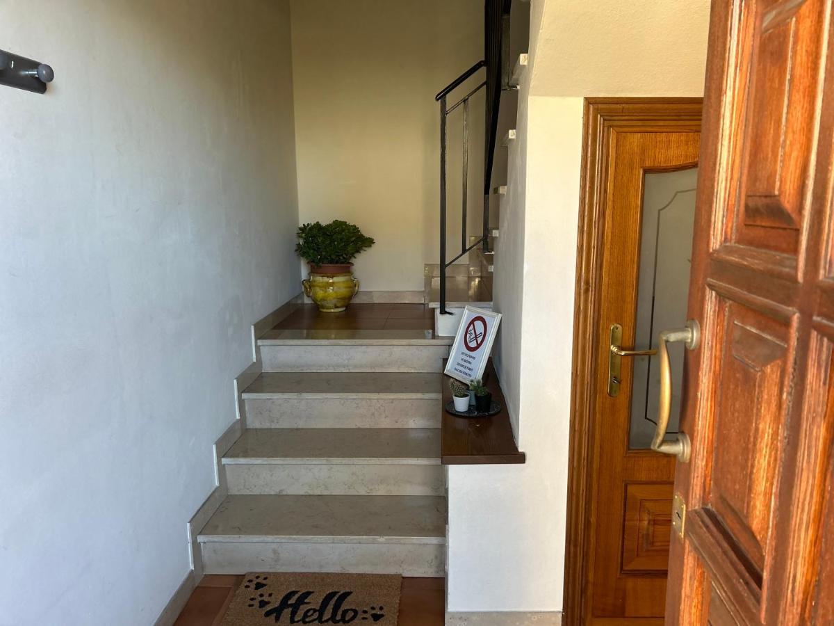 Apartmán Albi'S House,Terrazza ,Wi-Fi, Parcheggio, Ac Lucca Exteriér fotografie