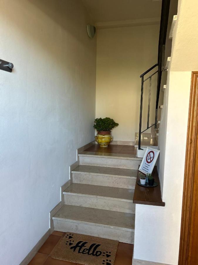Apartmán Albi'S House,Terrazza ,Wi-Fi, Parcheggio, Ac Lucca Exteriér fotografie